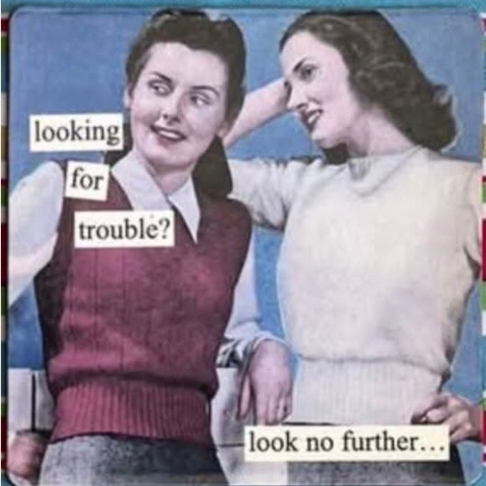 Anne Taintor Magnet